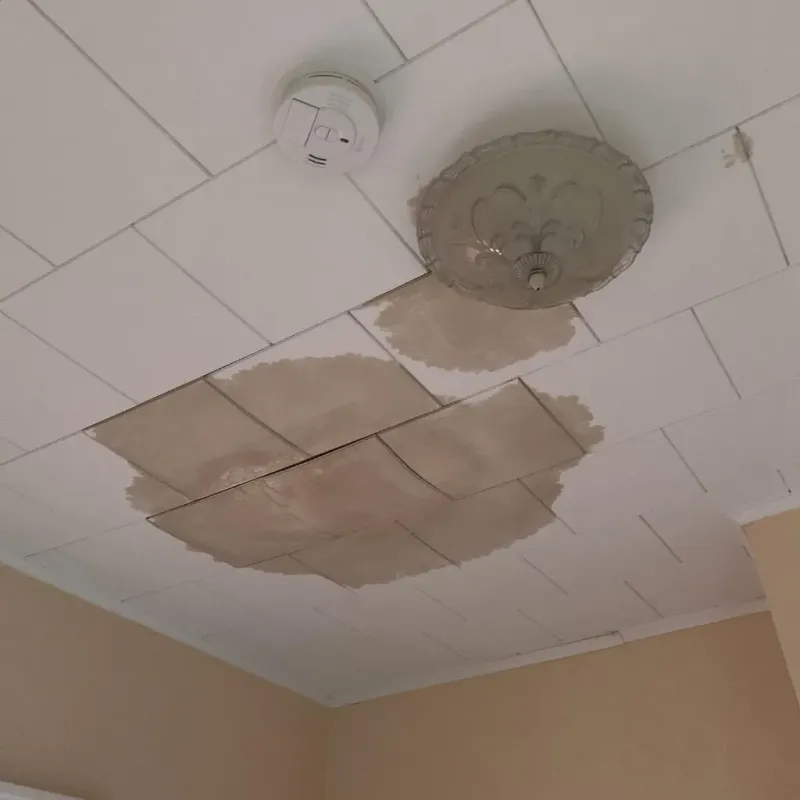 Ceiling Water Damage Repair in Crawford County, IA