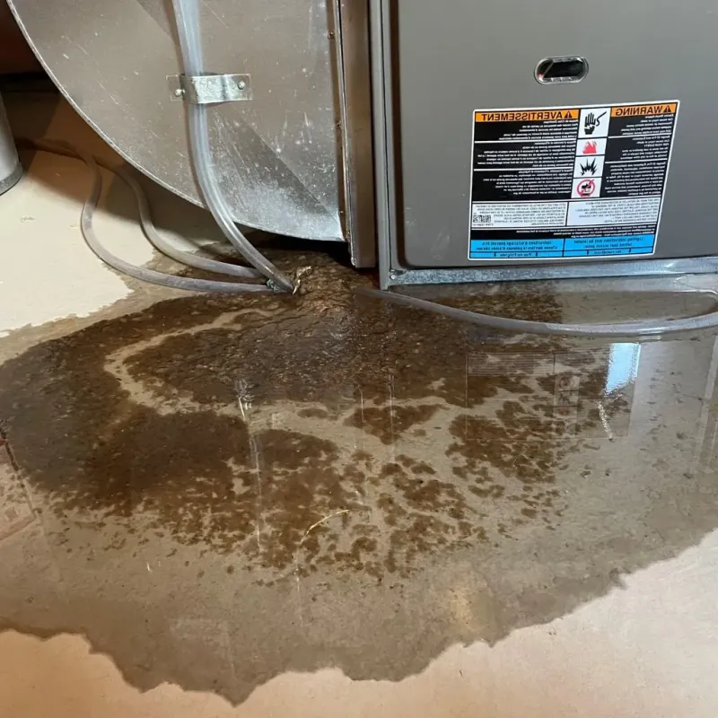 Pipe Burst and Leak Restoration in Crawford County, IA