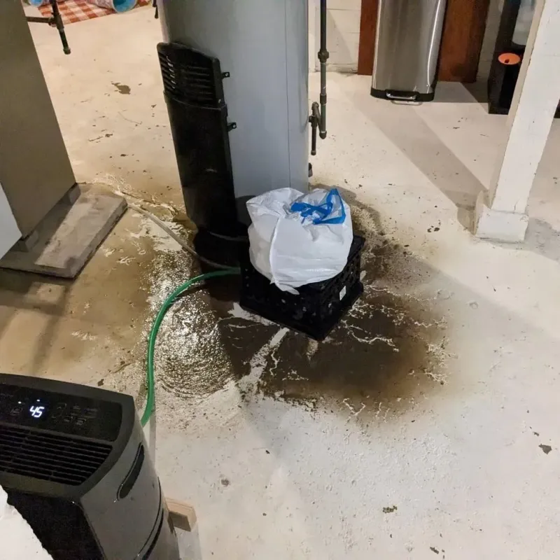 Sewage Backup Cleanup Service in Crawford County, IA